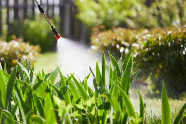 24/7 Emergency Cockroach Control experts in Blissfield, MI